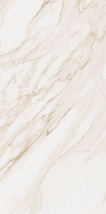 Omnia Calacatta Matte 24 x 48